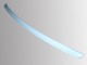 LIP SPOILER