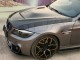 FENDERS TYPE M3