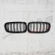 GRILLE TWIN BAR TYPE M PERFORMANCE