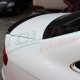 LIP SPOILER