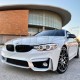 GRILLE TWIN BAR TYPE M PERFORMANCE
