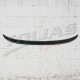 LIP SPOILER