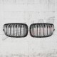 GRILLE TWIN BAR TYPE M PERFORMANCE
