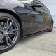 SIDE SKIRT PANELS TYPE M PERFORMANCE