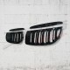 GRILLE TYPE M PERFORMANCE