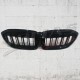 GRILLE TYPE M PERFORMANCE