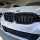 GRILLE TYPE M PERFORMANCE