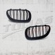 GRILLE TWIN BAR TYPE M PERFORMANCE