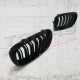 GRILLE TWIN BAR TYPE M PERFORMANCE