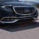 GRILLE TYPE MAYBACH