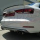 DUAL EXHAUST TIPS TYPE AKRAPOVIC 