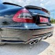 EXHAUST TIPS TYPE 63 AMG OVAL