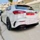 SINGLE EXHAUST TIP TYPE AKRAPOVIC SMART