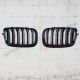 GRILLE TYPE M PERFORMANCE