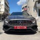 GRILLE w/CAMERA HOLE TYPE GT (Panamericana)